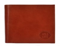 Ko�en� p�nsk� pen�enka 67371 hn�d� - posledn� kus, Elega