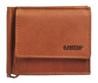 p�nsk� pen�enka dolarka 1999/V hn�d�, Lagen