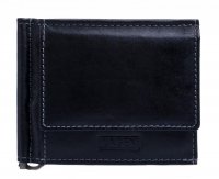 P�nsk� ko�en� pen�enka dolarka 1999/T �ern�, Lagen