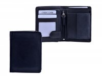 P�nsk� mal� ko�en� pen�enka TK-002, Neus