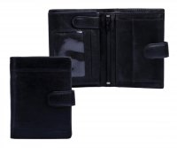 Ko�en� p�nsk� pen�enka LN-2020 �ern�, Lagen