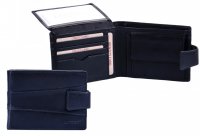 P�nsk� ko�en� pen�enka V-98 �ern�, Lagen