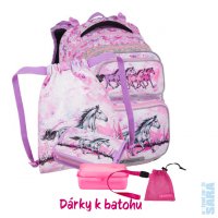Mal� �koln� set pro prv���ky Dopi 24 A kon� (batoh + s��ek + pen�l + box + mal� s��ek), Bagmaster