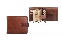 Ko�en� p�nsk� pen�enka W-2006 hn�d�, Lagen