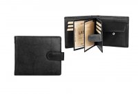 Ko�en� p�nsk� pen�enka W-2006 �ern�, Lagen